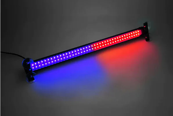 Multifunction Bumper Lamp