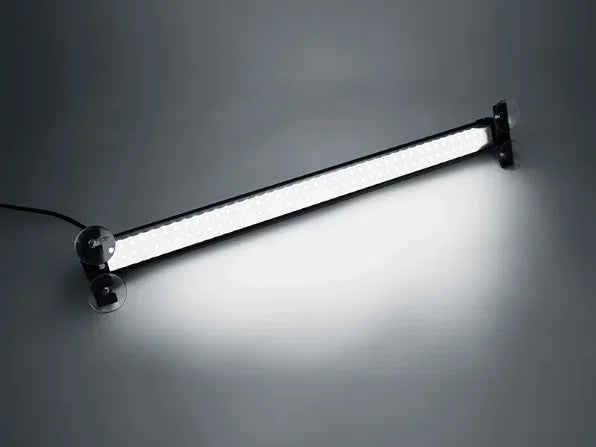 Multifunction Bumper Lamp
