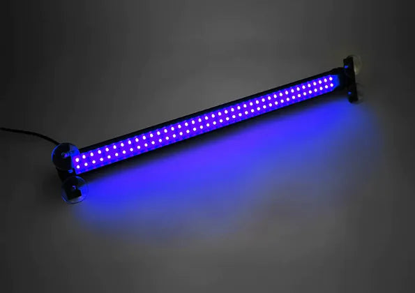Multifunction Bumper Lamp