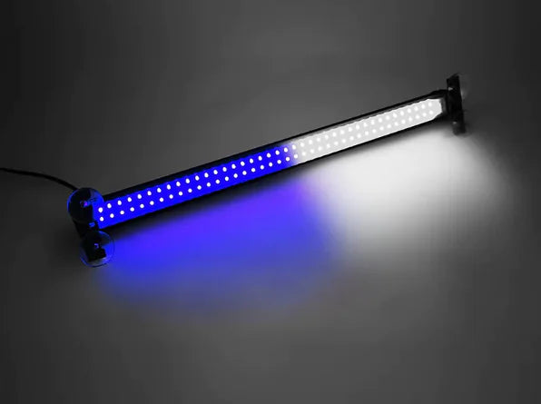 Multifunction Bumper Lamp
