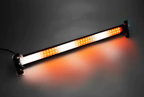 Multifunction Bumper Lamp